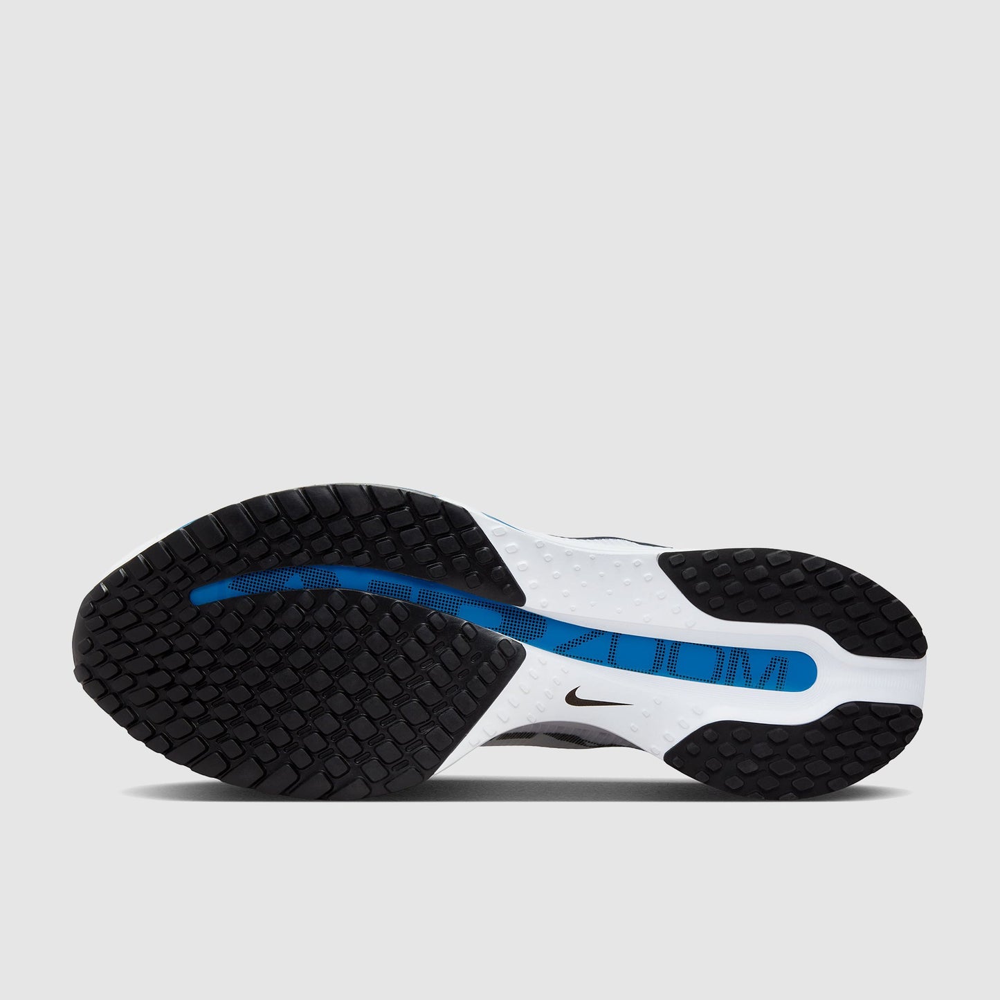 Nike Pegasus Premium
