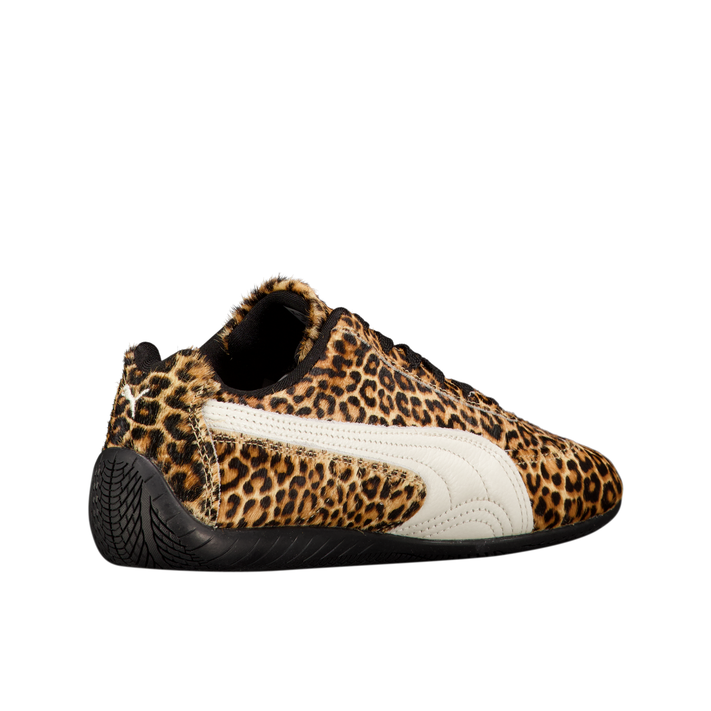W Speedcat Wild 'Chocolate'
