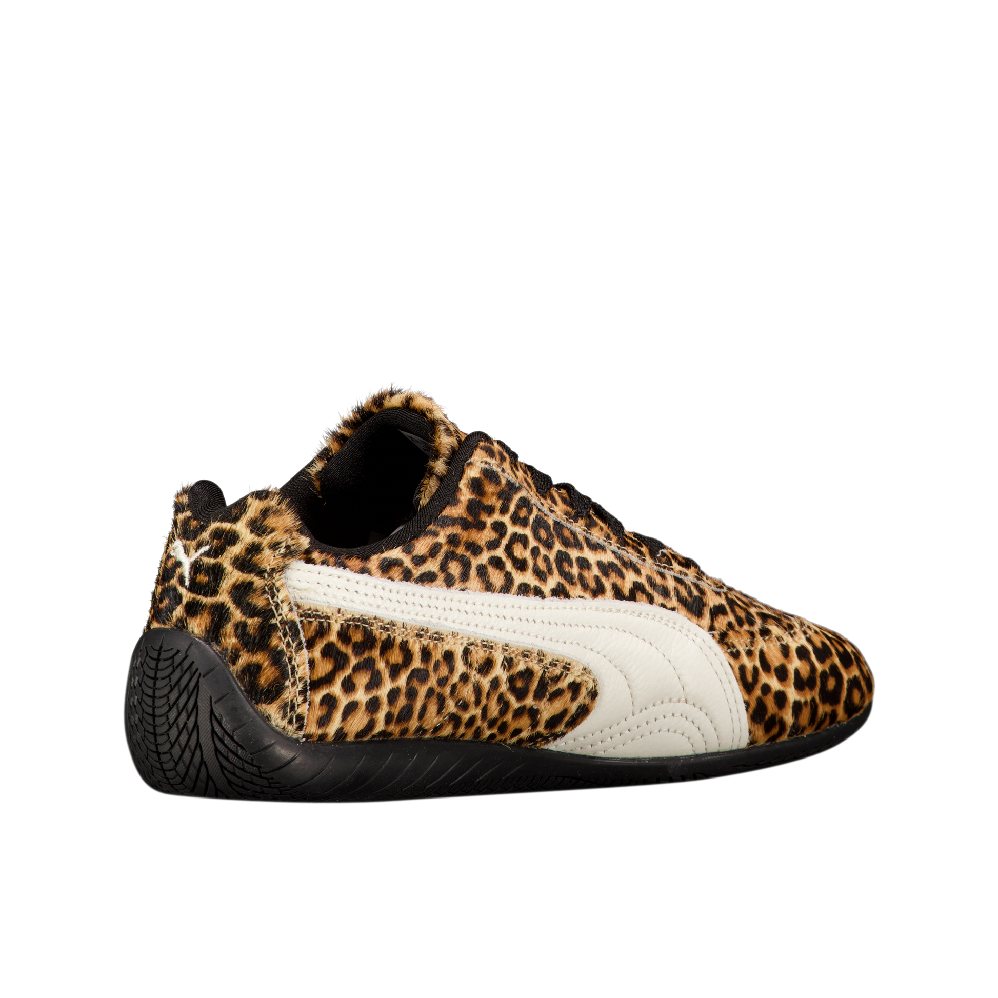 W Speedcat Wild 'Chocolate'