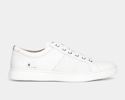 Colle Tie Sneakers - Premium Brand Shoes for Men and Women