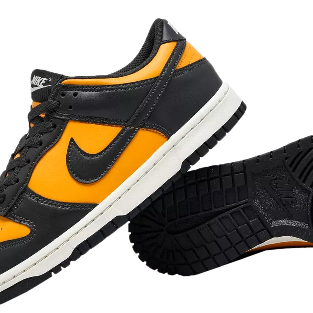 Big Kid's Nike Dunk Low Sundial/Anthracite-Sail (FB9109 701)