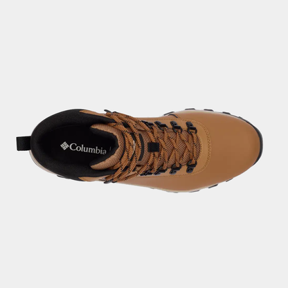 Newton Explorer Sneakers - Premium Brand Shoes for Men and Women